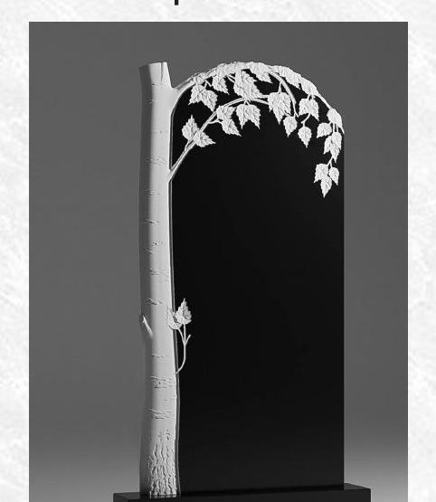 35. Береза